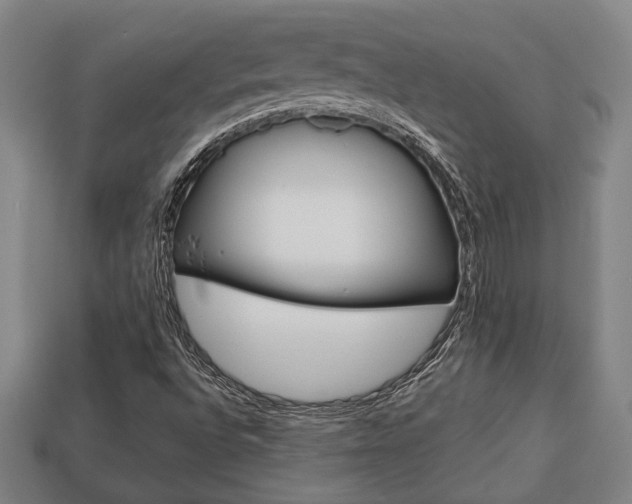 X0000113781496200909231030