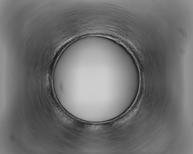 X0000113781497200909231030