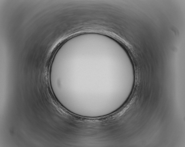 X0000113781498200909231030