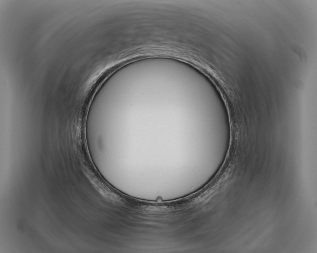 X0000113781499200909231030