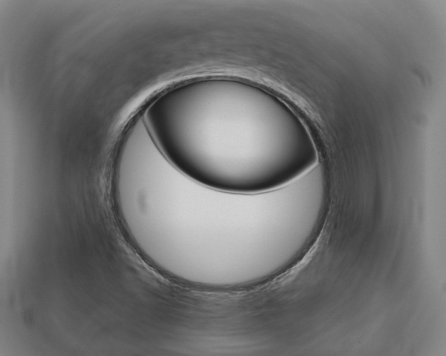 X0000113781502200909231030