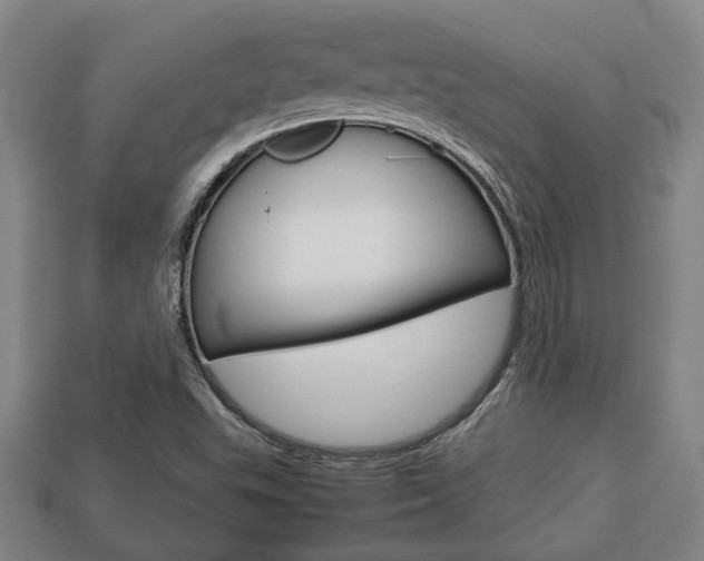 X0000113781503200909231030