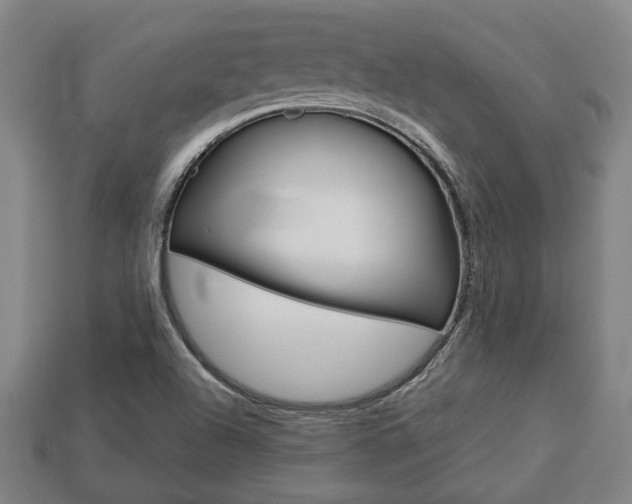 X0000113781504200909231030