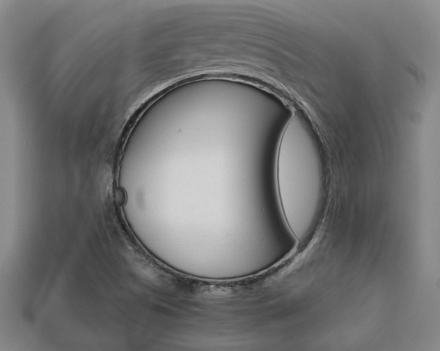 X0000113781505200909231030
