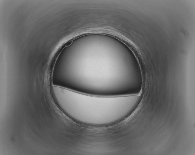 X0000113781506200909231030