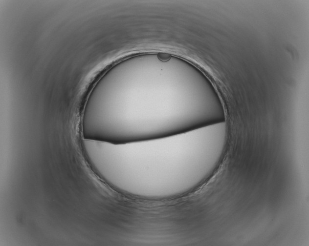 X0000113781507200909231030
