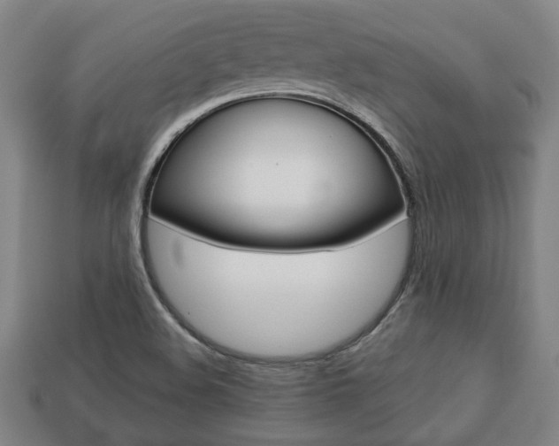 X0000113781508200909231030