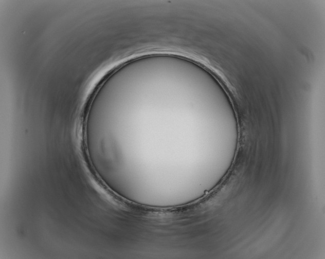 X0000113781511200909231030