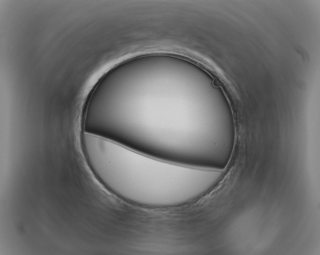 X0000113781512200909231030
