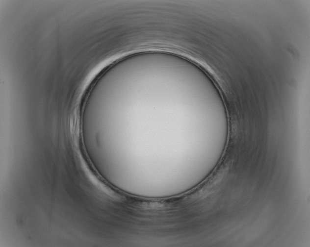 X0000113781515200909231030