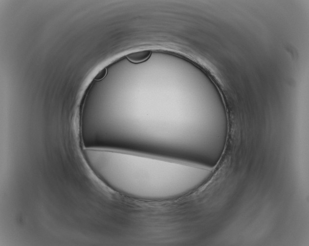 X0000113781516200909231030