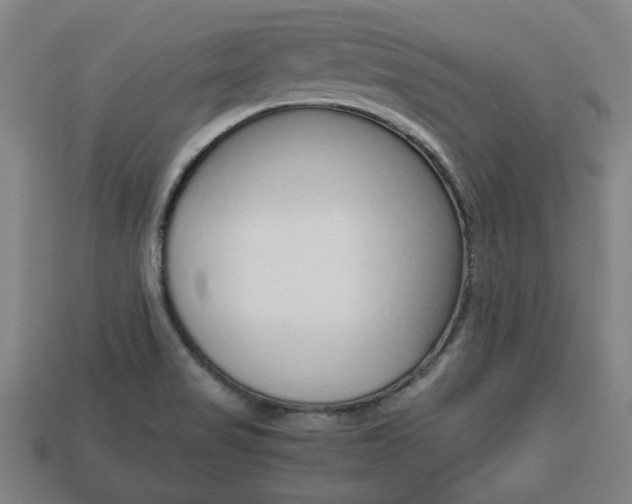 X0000113781517200909231030