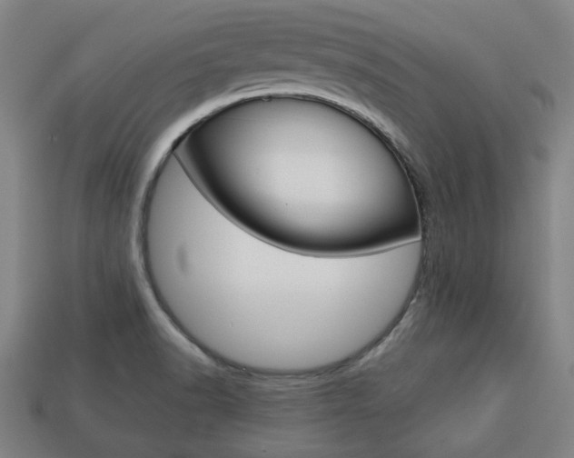 X0000113781518200909231030