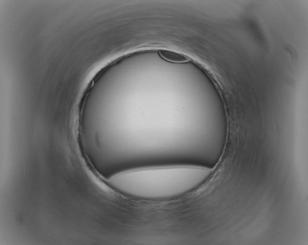 X0000113781519200909231030