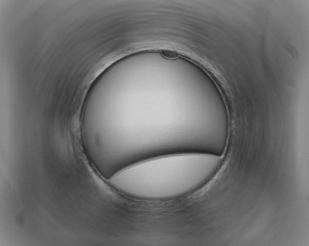 X0000113781521200909231030