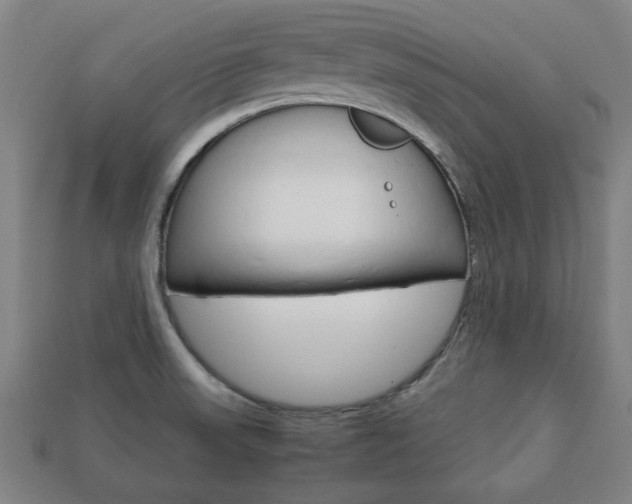 X0000113781523200909231030