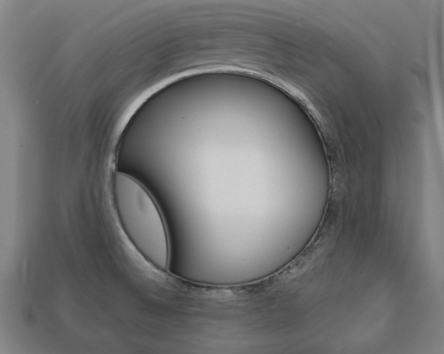 X0000113781524200909231030