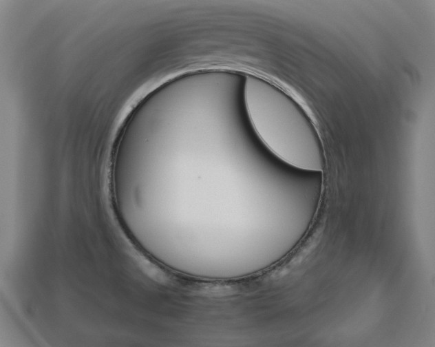 X0000113781525200909231030