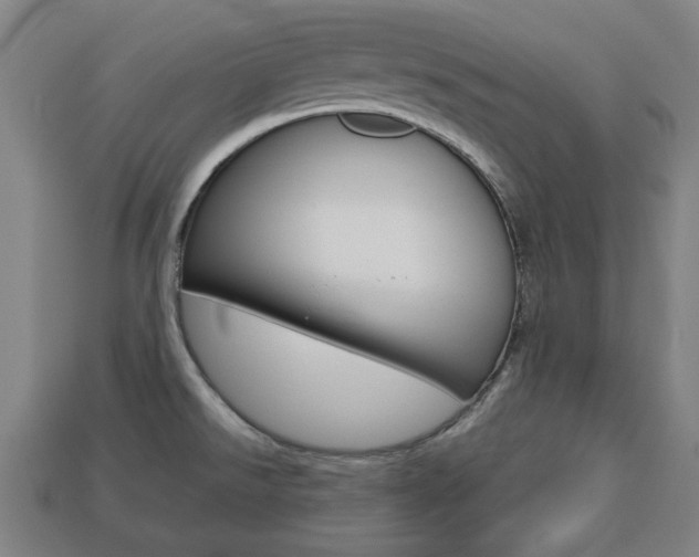 X0000113781526200909231030