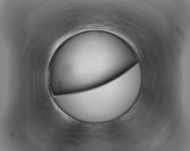 X0000113781527200909231030