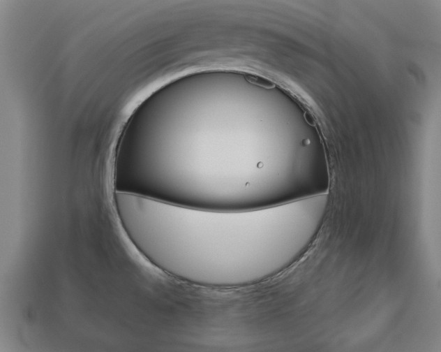 X0000113781528200909231030