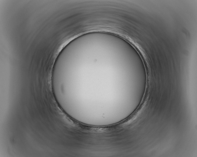 X0000113781529200909231030