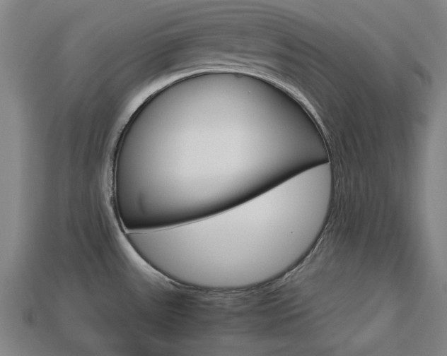 X0000113781531200909231030