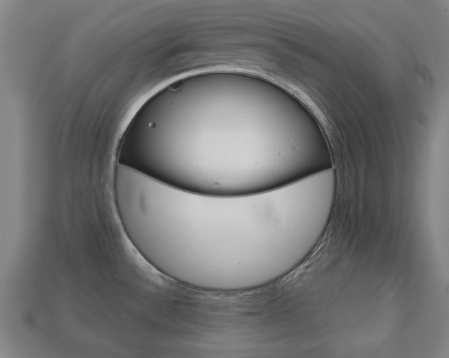 X0000113781532200909231030