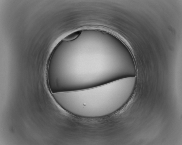 X0000113781533200909231030