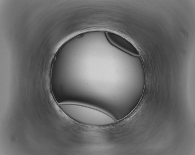 X0000113781534200909231031