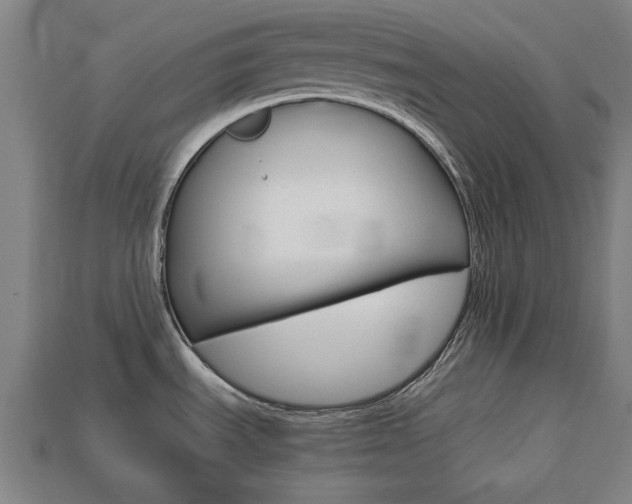 X0000113781535200909231031
