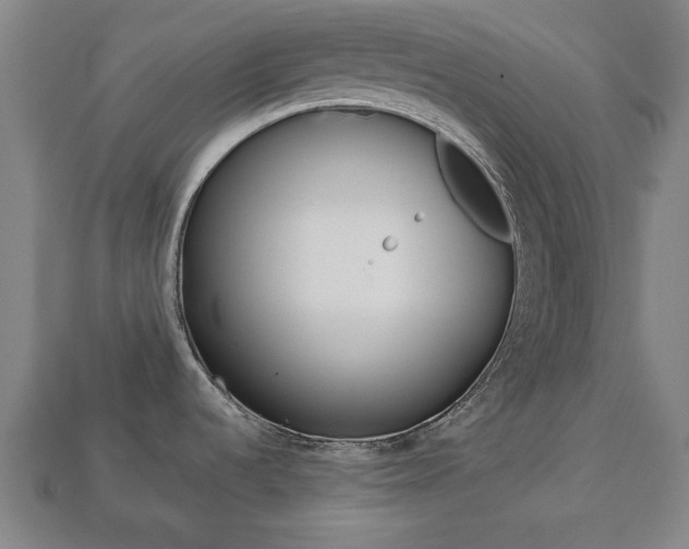 X0000113781536200909231031