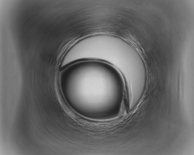 X0000113780001200909231325