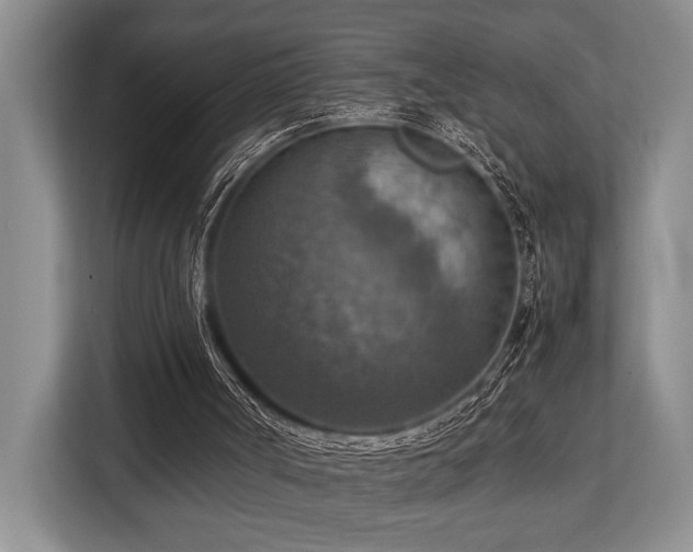 X0000113780002200909231325