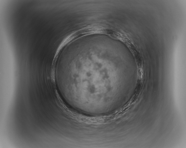 X0000113780004200909231325