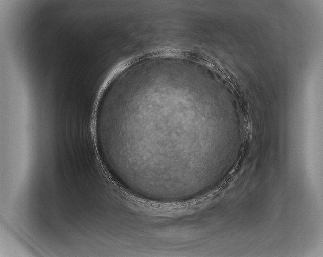 X0000113780006200909231325