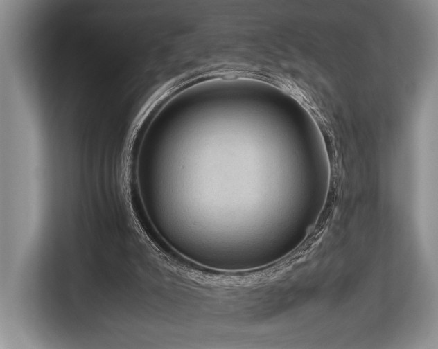 X0000113780007200909231325