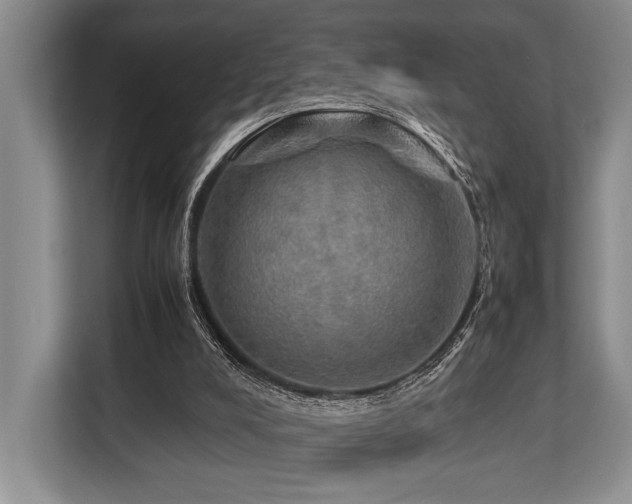 X0000113780008200909231325