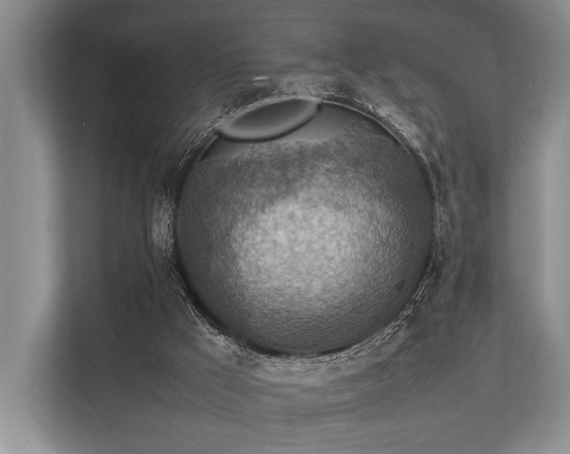 X0000113780009200909231325