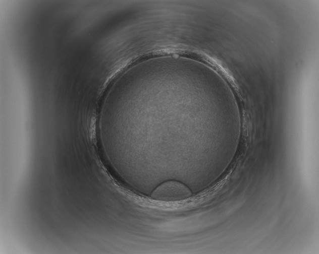 X0000113780010200909231325