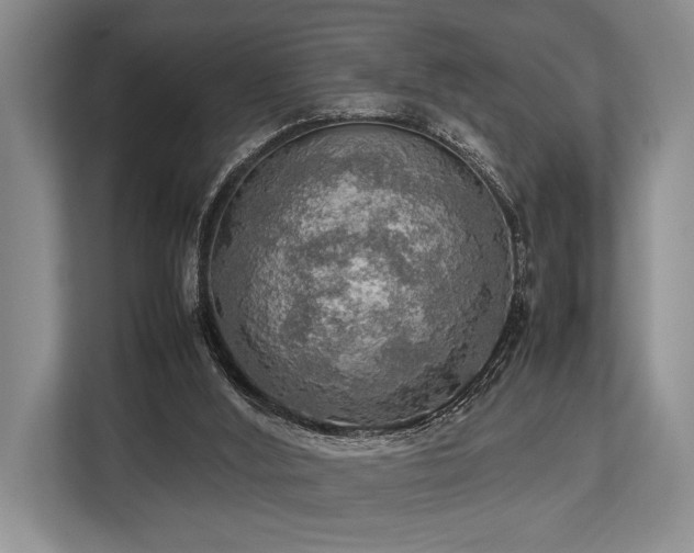 X0000113780012200909231325