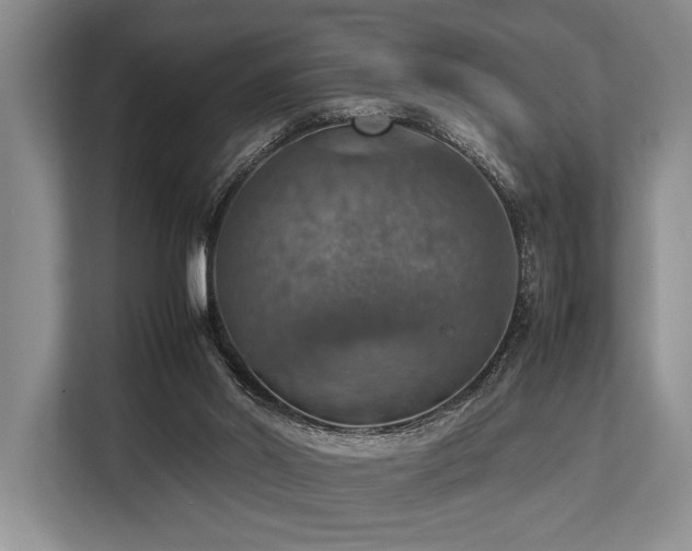 X0000113780014200909231325