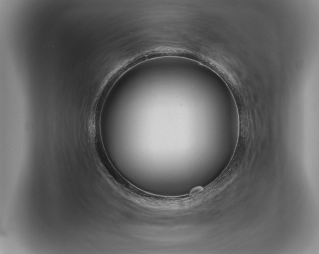 X0000113780015200909231325