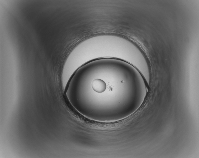 X0000113780017200909231325