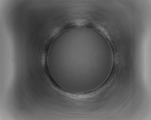 X0000113780018200909231325