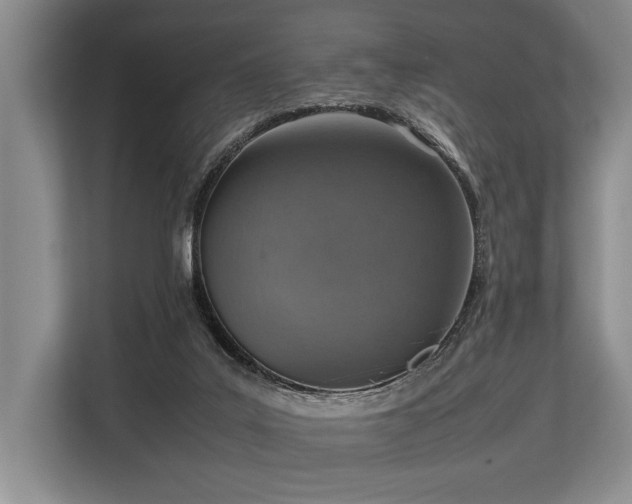 X0000113780019200909231325