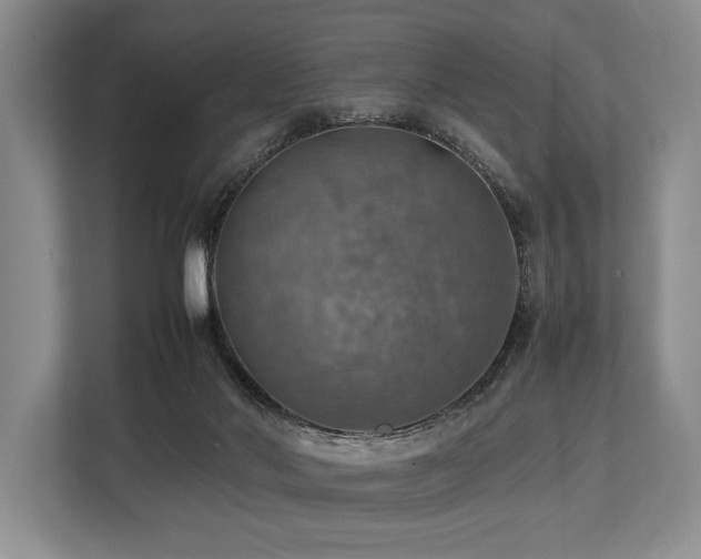 X0000113780022200909231325