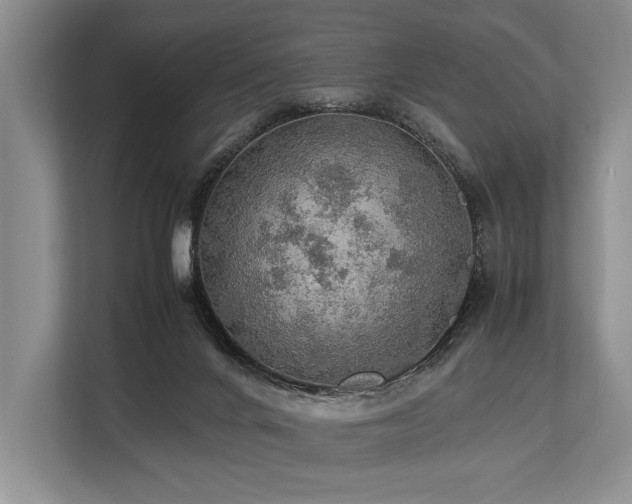 X0000113780024200909231325