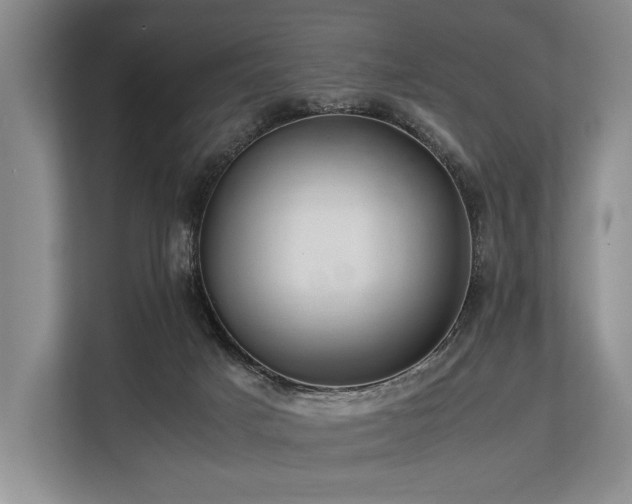 X0000113780025200909231324