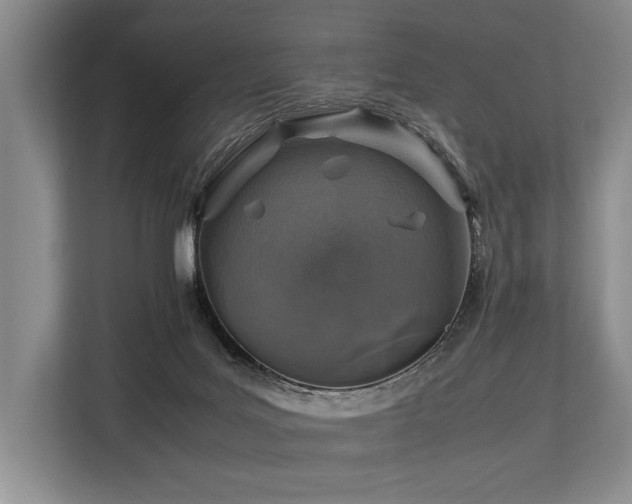 X0000113780027200909231324